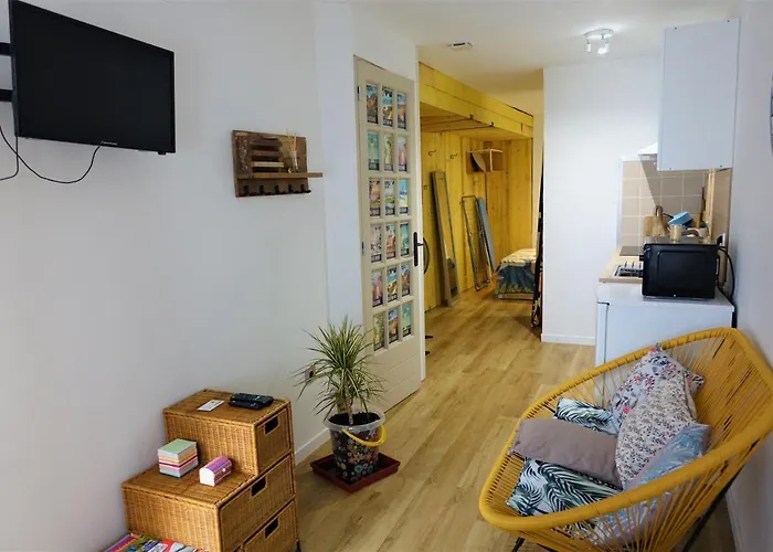Studio 07 Argeles Sur Mer . La Plage A Pied, L\'Espagne A 30 Mn